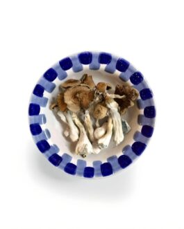 Blue Meanie Mushroom