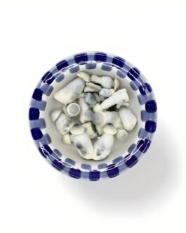 Lyophilisé Albino Penis Envy